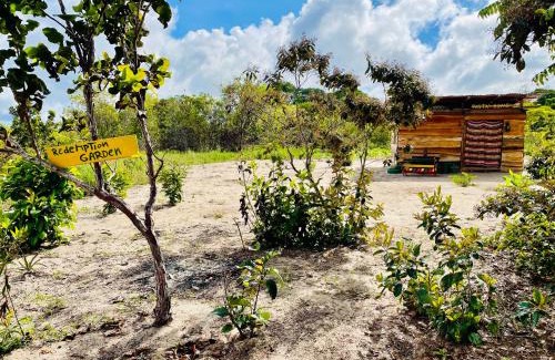 Zanderij House | Houses of Reggae on Land of Promise