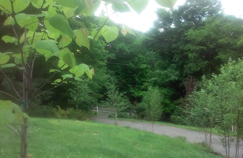 Brainard House | Hudson River Valley/Berkshires Rural Retreat