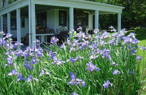 Chatham Cottage | Hudson Valley Berkshires Cottage - Great View, Private & Quiet
