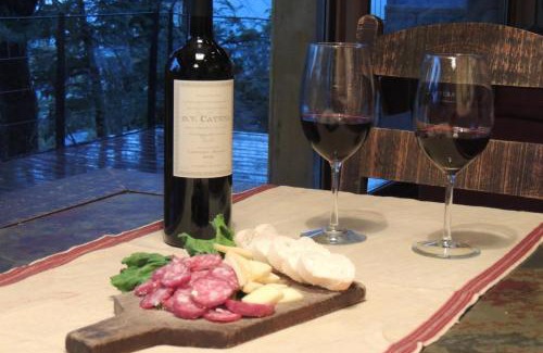 Lanin National Park Cabin | Huella Blanca