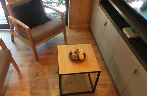 San Martin de los Andes Apartment | HUEPIL, Monoambiente Centrico