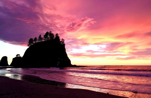 Forks House | Huge 6-Bedroom with Arcade Room – Perfect for Big Families or Groups!