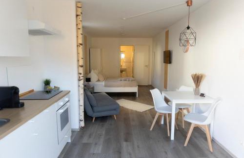 Schonberg Apartment | HUGOS Studio Apartment