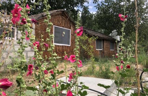 Hunza Hotel | Hunza Cottages