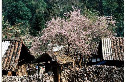 Dong Van House | Huyen Tram Guesthouse