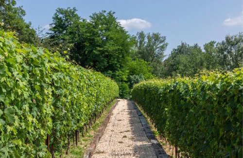 La Morra House | I Quattro Pozzi