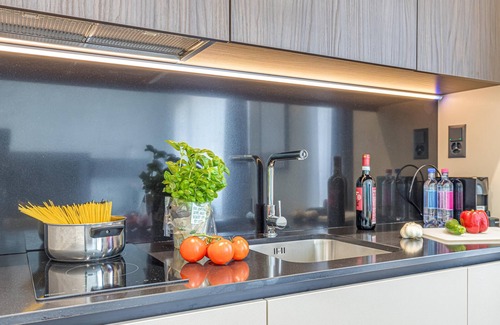 Viganello Apartment | Icon H 505 Suite Business