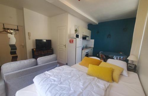 Bourgueil Apartment | Idéal pied à terre pour visite des châteaux et cnpe