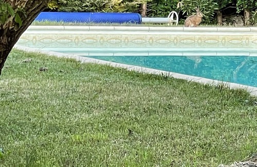 Saux Apartment | Idéal Pour Séjour Tranquille à 2 ou 3 Avec Piscine