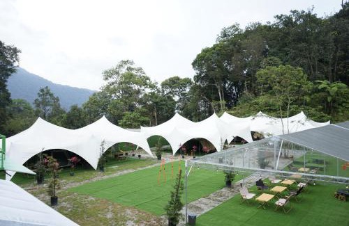Genting Highlands Other | iGo Glamz 爱狗露营 Pet Friendly Glamping