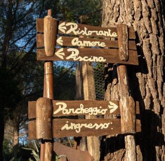 Lidarno House | Il Cantico delle Cicale