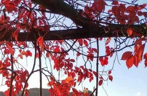 San Giustino Other | Il Cantuccio