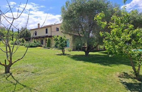 Calvi di Umbria House | IL CASALE DEGLI ULIVI- Splendido casale panoramico con piscina a 30 min da Roma GRA