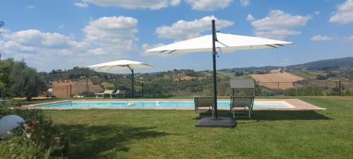 Calvi di Umbria House | IL CASALE DEGLI ULIVI- Splendido casale panoramico con piscina a 30 min da Roma GRA