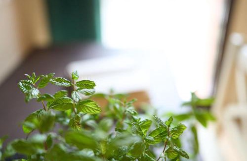 Castel San Pietro Terme House | Il Casolare Punto Fiore