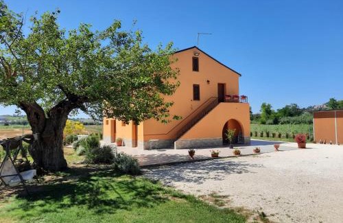 Direttissima del Conero House | IL CUORE DEL CONERO - CASALE CON PISCINA, Natura e Relax