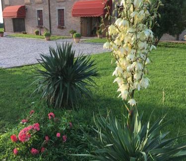 Voghiera Bed & Breakfast | Il Frattiero B&B