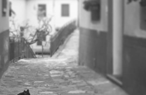 Coreglia Antelminelli Apartment | Il Gatto Nero