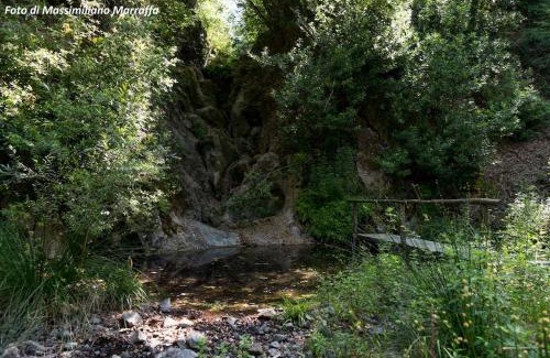 Cecina Apartment | Il Giardino