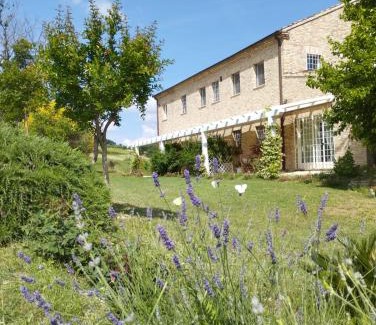 Belvedere Ostrense Apartment | Il Giardino nella Valle