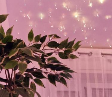 Quartiere XXXIV Lido di Ostia Levante House | Il Mare di Roma Deluxe