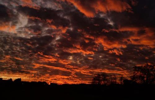 Siena Apartment | “Il Nespolino” Tuscan Country House