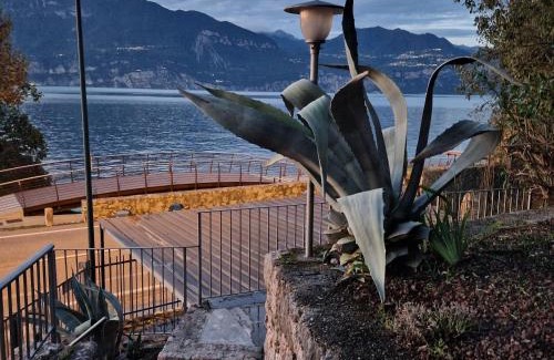 Brenzone sul Garda House | Il Nido