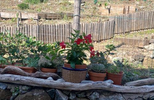 Rio nell'Elba House | Il polpo blu