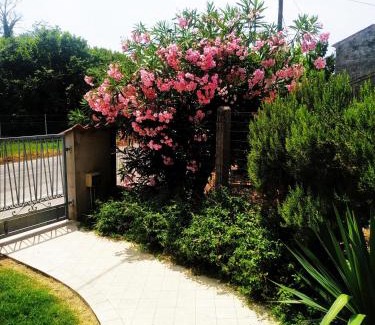 San Benedetto Po Bed & Breakfast | Il Tempo Dei Sogni