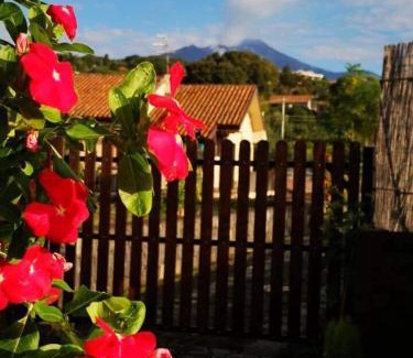 Viagrande Apartment | Il Tiglio