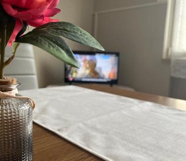 Bionde di Visegna Villa | Il Tulipano - Villa con giardino