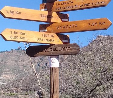 Tejeda House | Ilusiones