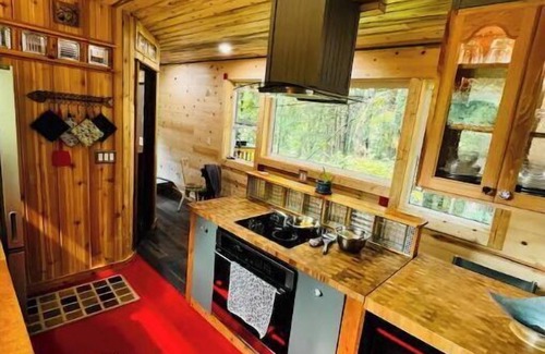 Stevenson House | Iman Treetop Loft