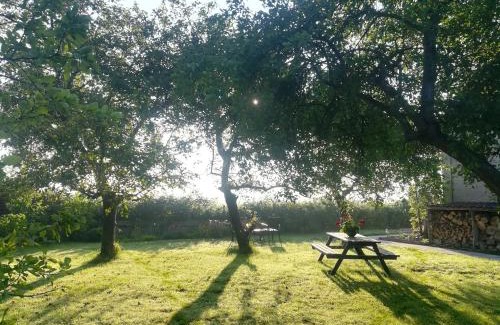 Burgh-Haamstede Apartment | in de Boomgaard