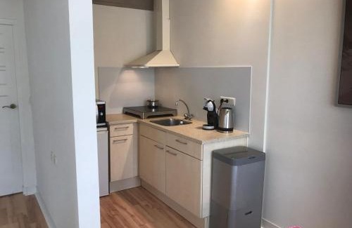 Zonnemaire Apartment | In de Gele Hoed mooie appartementen met fantastisch uitzicht