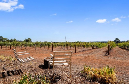 Penrice Apartment | 'In The Vines' Guest Cottage, Barossa Valley