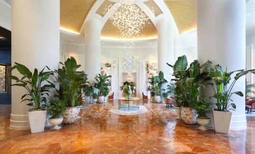 Peachtree Park Hotel | InterContinental Buckhead Atlanta by IHG