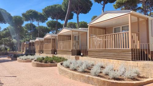Pals Other | Interpals Eco Resort