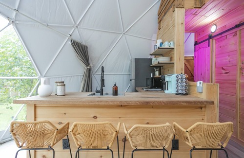 Cosby RV Rental | 🌠😊️ INTERSTELLAR OVERDRIVE GLAMPING DOME