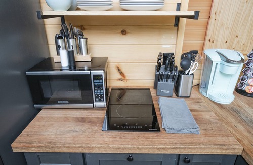 Cosby RV Rental | 🌠😊️ INTERSTELLAR OVERDRIVE GLAMPING DOME