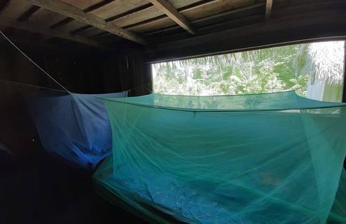Belen Cabin | Inti Amazon Lodge - Lupuna Zona 2