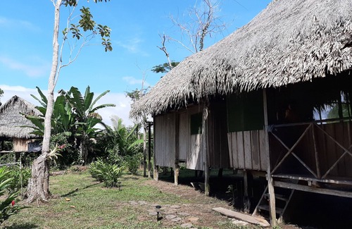 Belen Cabin | Inti Amazon Lodge - Lupuna Zona 2