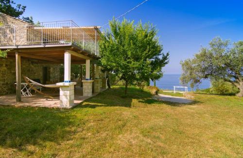 Pollica House | Into lupene