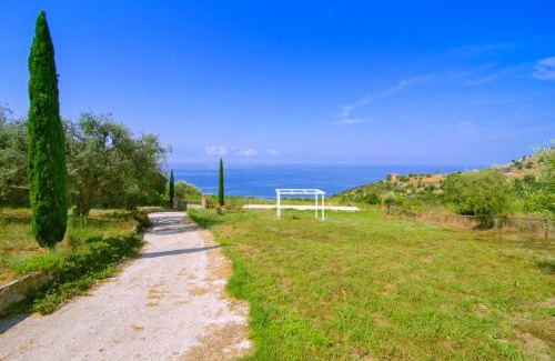 Pollica House | Into lupene