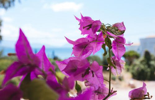 Episkopos Hotel | Ionio Hotel