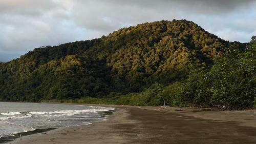Nuqui Cabin | Irana Pacific Hotel