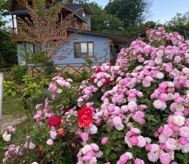 Fatsa Villa | ISABELLA Kırsal Yaşam Evi