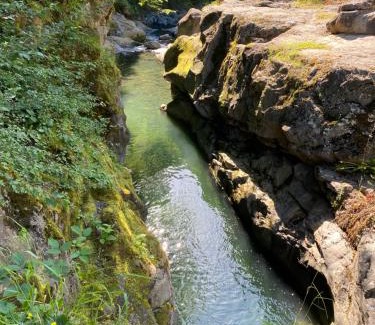 Fatsa Villa | ISABELLA Kırsal Yaşam Evi