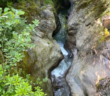 Fatsa Villa | ISABELLA Kırsal Yaşam Evi