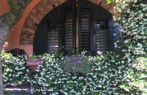 Pilzone Apartment | Iseo Lake Home Nature & Relax